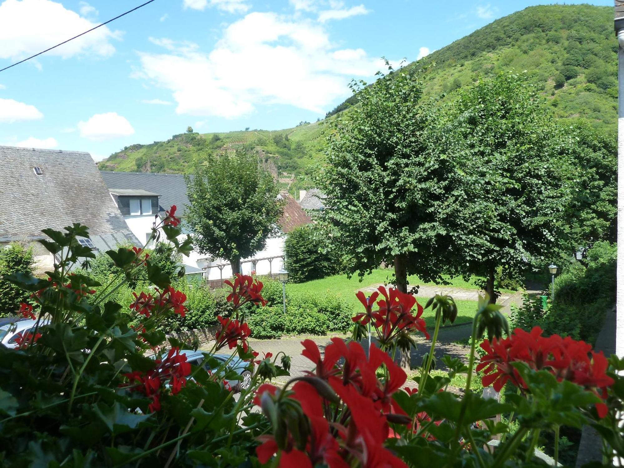 Bed and Breakfast Alte Weinstuben Steinfelder Hof Garni Ellenz-Poltersdorf Zewnętrze zdjęcie